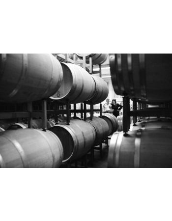 offene Weinprobe 15.11.2025